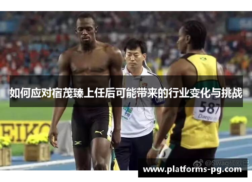 如何应对宿茂臻上任后可能带来的行业变化与挑战 如何应对宿茂臻上任后可能带来的行业变化与挑战