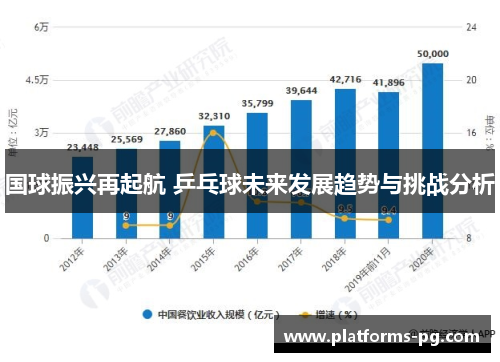 国球振兴再起航 乒乓球未来发展趋势与挑战分析