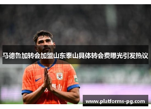 马德鲁加转会加盟山东泰山具体转会费曝光引发热议