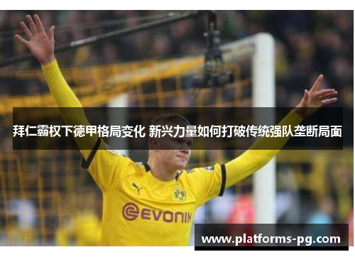 拜仁霸权下德甲格局变化 新兴力量如何打破传统强队垄断局面