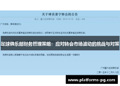 足球俱乐部财务管理策略:应对转会市场波动的挑战与对策 足球俱乐部财务管理策略:应对转会市场波动的挑战与对策