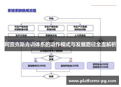 阿贾克斯青训体系的运作模式与发展路径全面解析 阿贾克斯青训体系的运作模式与发展路径全面解析